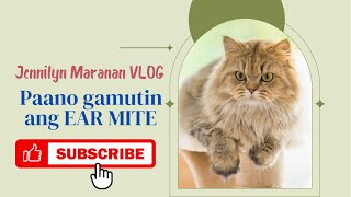 PAANO GAMUTIN ANG EAR MITES SA PUSA [upl. by Athenian289]