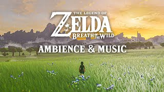 🌾 A Rainy Day in Central Hyrule 🌾 Zelda Ambience amp Optional Music [upl. by Eatnoj]