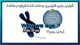 Telomere Telomerase and End replication problem بالعربى التيلومير وتضاعف المادة الوراثية ومشاكلها [upl. by Anatak]