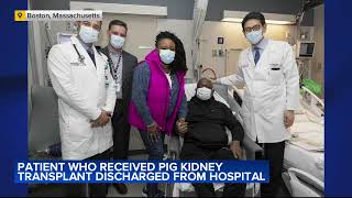 Man who received genetically modified pig kidney is out of the hospital [upl. by Amiaj994]