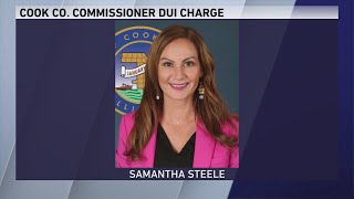 Cook County Board of Review commissioner charged with drunk driving [upl. by Cadman]