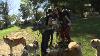 Der Verein Dogtrekking amp More im ORF [upl. by Tandi]