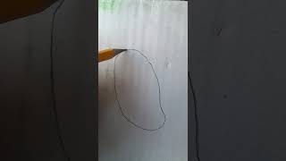 How to draw a mango seed [upl. by Elrebma]