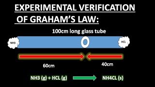 EXPERIMENTAL VERIFICATION OF GRAHAMS LAWDIFFUSION amp EFFUSIONGRAHAMS LAWCGASESCHEMISTRYYOUTUBE [upl. by Suiradel]