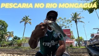 RIO MONGAGUÁ TAMBÉM TEM PEIXE 🐟🐟🐟fishing fish pescaria robalo peixes pesca [upl. by Eeryn]