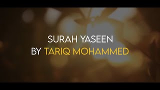 Surah Yaseen  سورة يس  By Tareq Mohammad  Quran Recitation with English Translation [upl. by Hays]