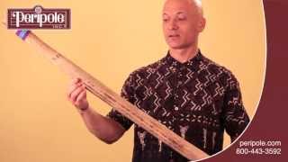 How to Play the Rainstick [upl. by Arteid]