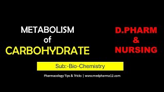 METABOLISM OF CARBOHYDRATE  GLYCOLYSIS  TCA CYCLE [upl. by Neelear798]