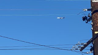 Atlas Air 8676 Landing At LAX 744F Flexport [upl. by Zales644]