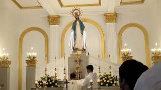 SALVE REGINA  3rd Day Triduum Mass in Honor of Our Lady of the Miraculous Medal [upl. by Eahs]