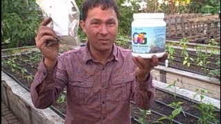 Amino Acid Organic Fertilizer Increases Yields and Will Not Burn Plants [upl. by Laurance]