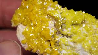 Pyromorphite 9th level Jersey Vein Bunker Hill Mine Kellog Idaho USA [upl. by Teilo563]