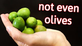 Chinese Olives  The Surprising Truth Behind This Much Misunderstood Fruit [upl. by Nicolau]