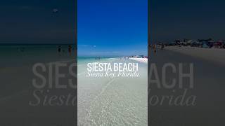 Siesta Beach  Siesta Key 🏝️ Things To Do Tampa Bay [upl. by Ahael965]