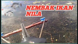 Nembak ikan Nila [upl. by Norak715]