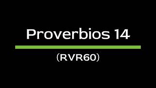 Proverbios 14 RVR60  Biblia Hablada  Español Latino [upl. by Spiro]