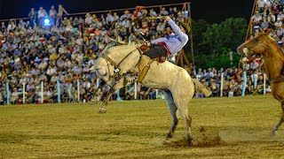 Festival de Diamante las finales de la jineteada en el campo quotMartín Fierroquot [upl. by Yauqram]