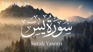 Surah Yaseen  Tareq Mohammed  Al Quran [upl. by Odrautse]