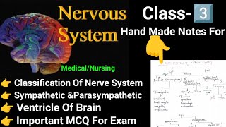 CNS PNS ANS Ventricles of brain parts of brain online medical nursing classes [upl. by Fielding]