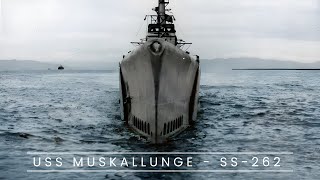 USS Muskallunge  SS262 Submarine [upl. by Hpseoj62]