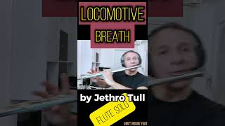 Locomotive Breath flute solo GiovyFlute cover From Aqualung by Jethro Tull rockflute flutesolo [upl. by Fairlie]