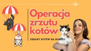 Spadochronowa akcja zrzutu kotów [upl. by Groh]