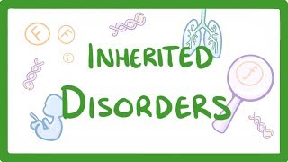 GCSE Biology  Why We Inherit Diseases From Our Family  Polydactyly amp Cystic Fibrosis 75 [upl. by Hsur319]