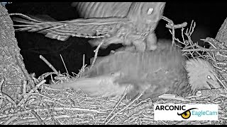 Owl strike at Arconic Eagle Cam Riverdale Iowa 2023 04 10 23 18 59 930 [upl. by Hooke]