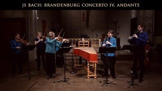 Bach Brandenburg Concerto No 4 Andante BWV 1049 Voices of Music original instruments [upl. by Asilegna806]