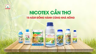 NICOTEX CẦN THƠ  15 NĂM ĐỒNG HÀNH CÙNG NHÀ NÔNG [upl. by Sanfourd]