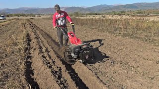 Rotakt MF 400 la arat  Plowing with two wheel tractor [upl. by Kepner]