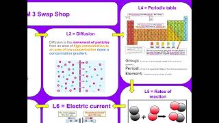 Year 7 term 3 swap shop [upl. by Tye]