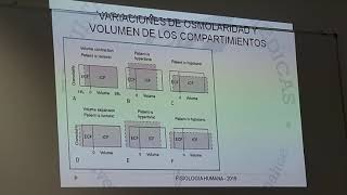 Regulación de osmolaridad y volumen del LEC parte 1 [upl. by Ahcsim]