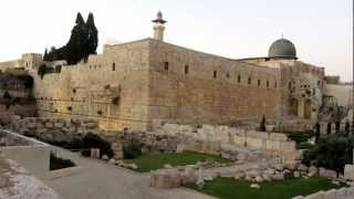 مؤذن  Muezzin of Jerusalems Old City  המואזין בעיר העתיקה בירושלים [upl. by Aihsenek]