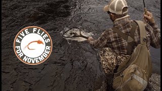 Five Flies for November 2018  Fly Fishing the South Platte at Deckers [upl. by Philipson]