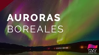 Auroras boreales desde Groenlandia 2016  En directo conexión 3 [upl. by Yema]