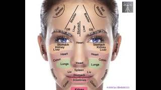 Facial Analysis [upl. by Jemie36]