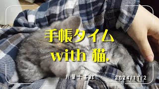 手帳タイム with 猫🌝 [upl. by Bickart]