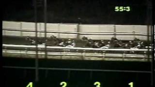 1988 Meadowlands Pace  Matts Scooter amp Mike Lachance [upl. by Florin]