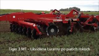 HORSCH Tiger 3 MT pri likvidacii patrocneho porastu lucerny [upl. by Onnem613]