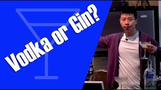 Gin Martini vs Vodka Martini  Which Spirit is Better for the Classic Cocktail [upl. by Tempa]