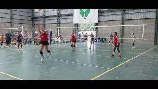 Pelotaris vs Diamantino Primer Set Parte 2 Torneo Carolina Costagrande 11102024 [upl. by Javed]