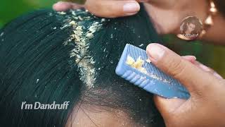 Dandruff Removal Long Hair Guys 38 [upl. by Nasas297]