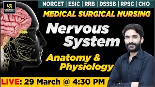 Nervous System  Anatomy amp Physiology  For NORCET  ESIC  RRB  DSSSB  RPSC  CHO Exams Raju Sir [upl. by Neiluj]