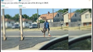 New details uncovered about viral goose photo as Springfield’s immigration surges  WHIOTV [upl. by Kcire436]