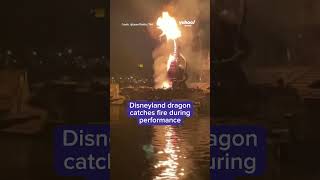 Disneyland dragon catches on fire shorts [upl. by Susej924]