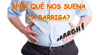 ¿POR QUÉ NOS SUENA LA BARRIGA  Curiociencia [upl. by Abner]