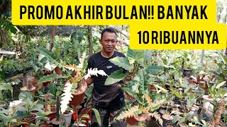 PROMO AKHIR BULAN BANYAK YG 10RIBUAN [upl. by Keynes]