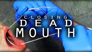 How To Stitch a Dead Mouth Shut [upl. by Berky]