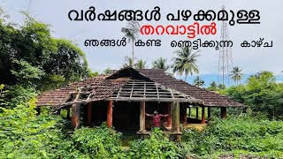 SHOCKING OLD THARAVADU OTTAPPALAM PALAKKAD KERALA TOURISM TRAVEL VLOG [upl. by Niela183]